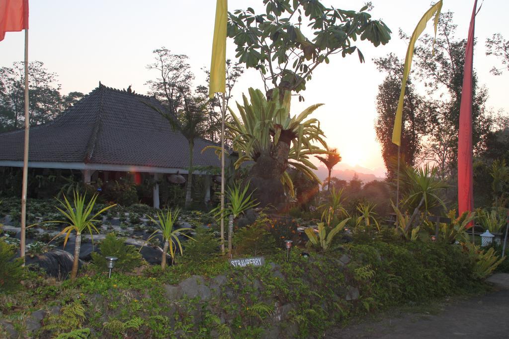 Warung Rekreasi Bedugul Hotel Екстериор снимка